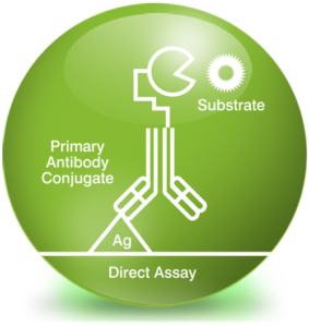 Assay Development